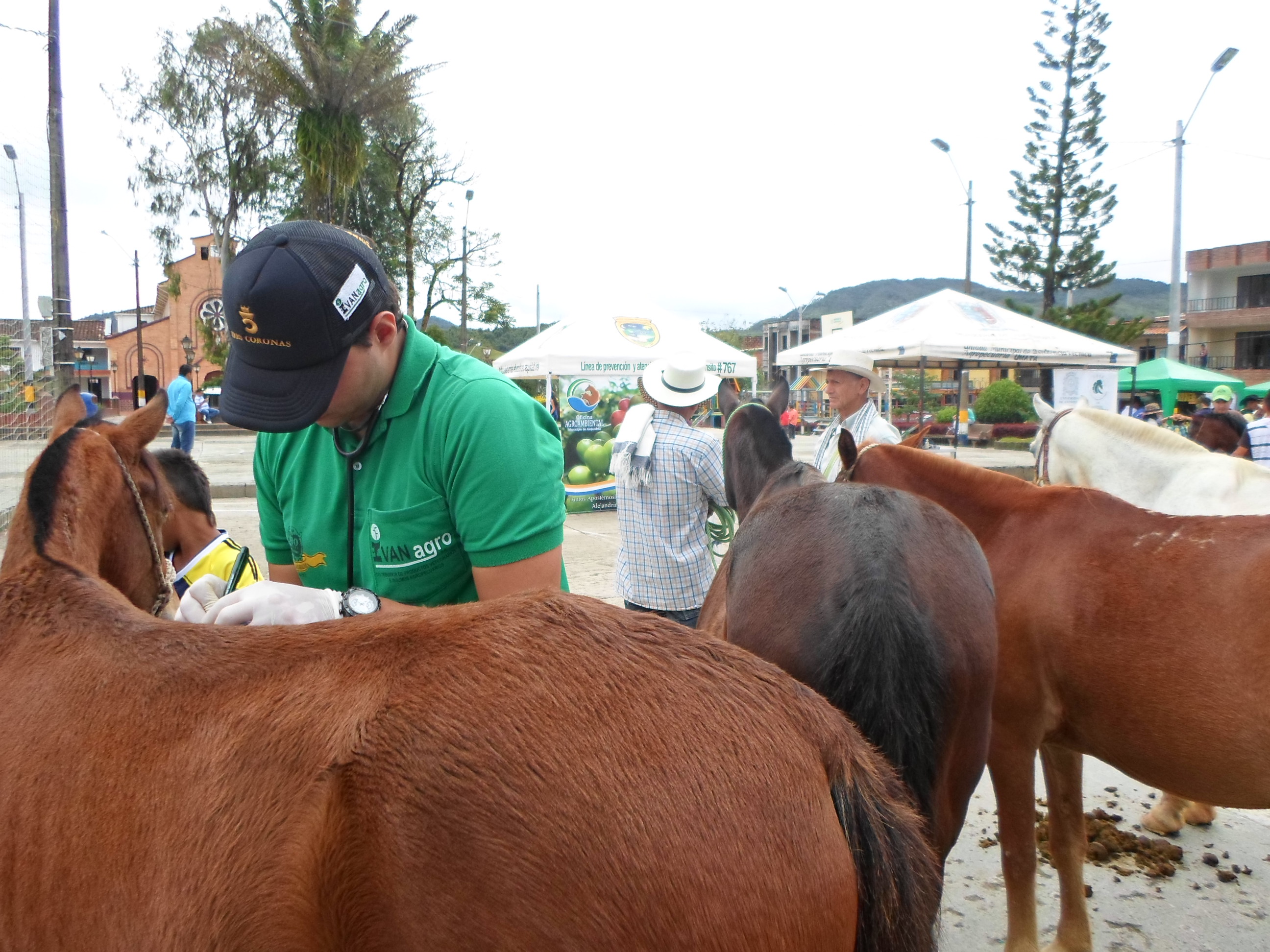 JORNADA DE ATENCI�N INTEGRAL PARA LA PREVENCI�N DE LA ENFERMEDAD EQUINA